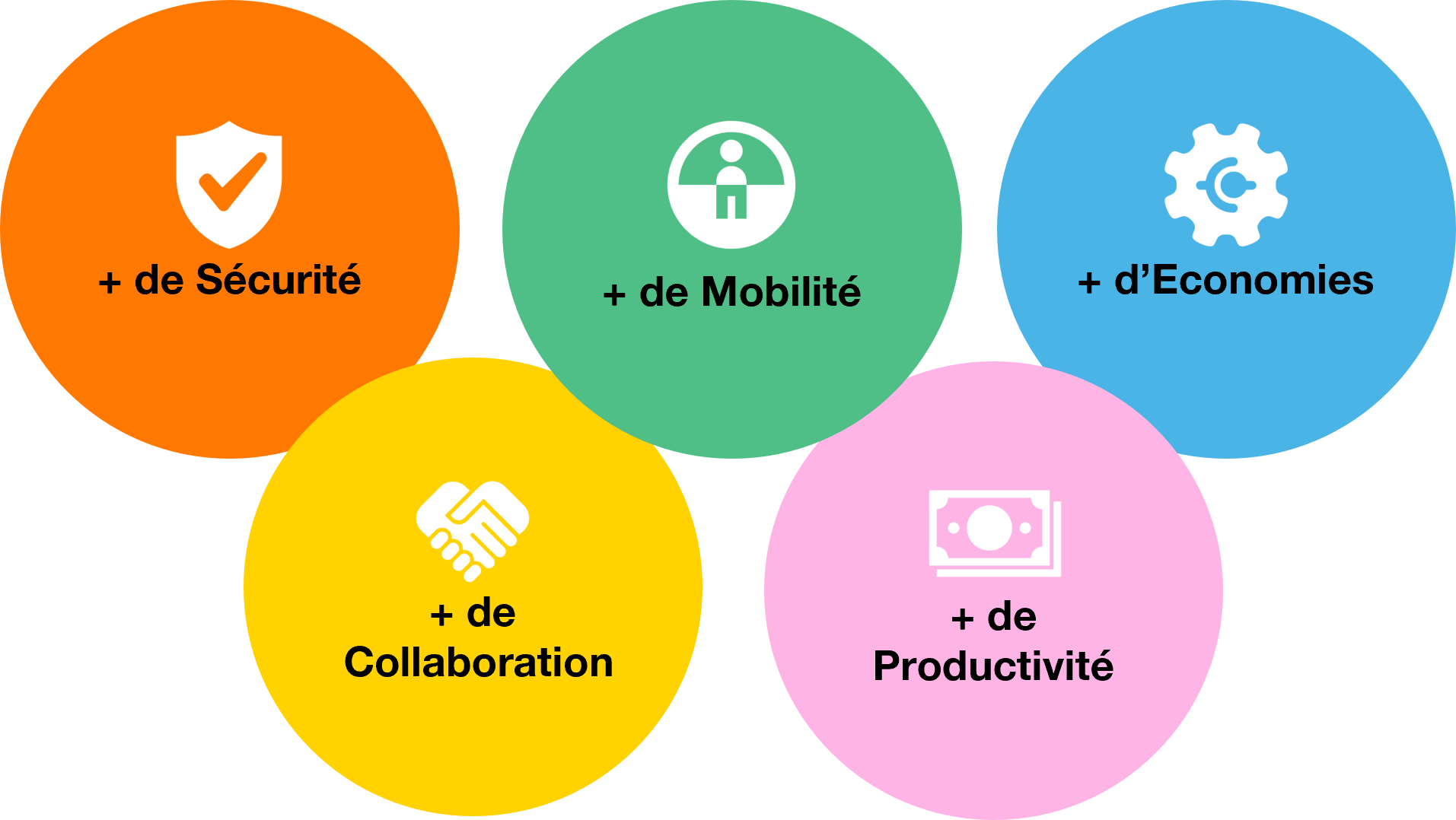 MS365 cercles activités MS365 cercles activités